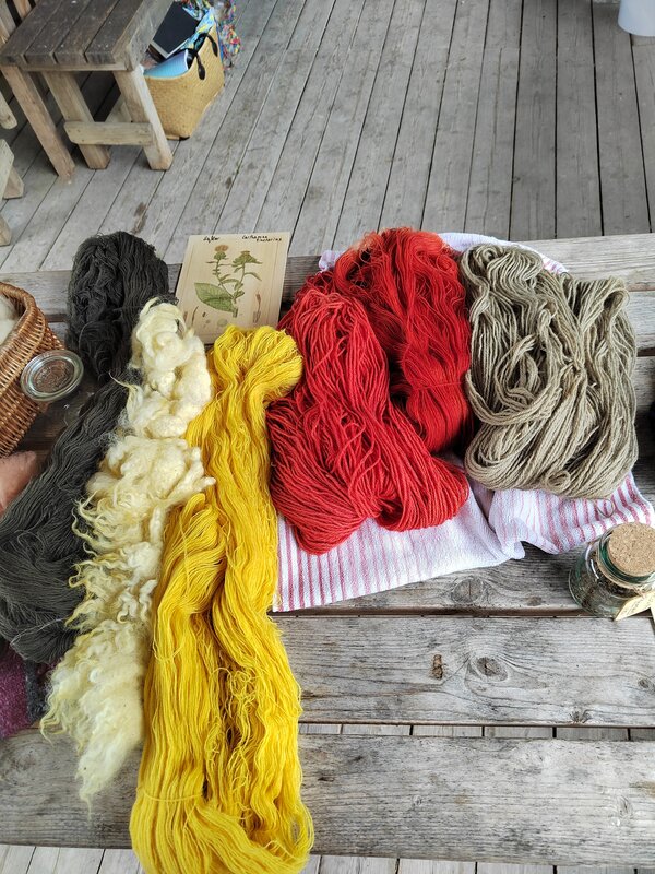 Bild vergr&ouml;&szlig;ern: Vom Schaf zur Wolle