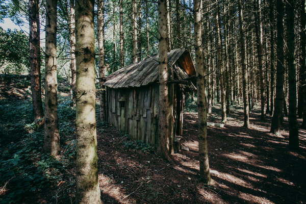 Bild vergr&ouml;&szlig;ern: Hexenh&auml;usle