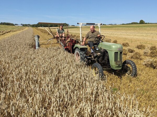 Bild vergr&ouml;&szlig;ern: Landwirtschaft im Museum