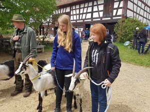 Bild vergr&ouml;&szlig;ern: Ziegenschau 2