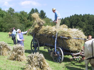 Bild vergr&ouml;&szlig;ern: Garbenwagen im Freilichtmuseum