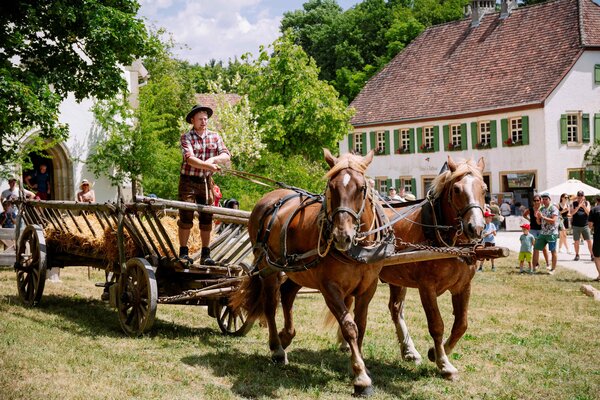 Fuhrmannstag im Freilichtmuseum